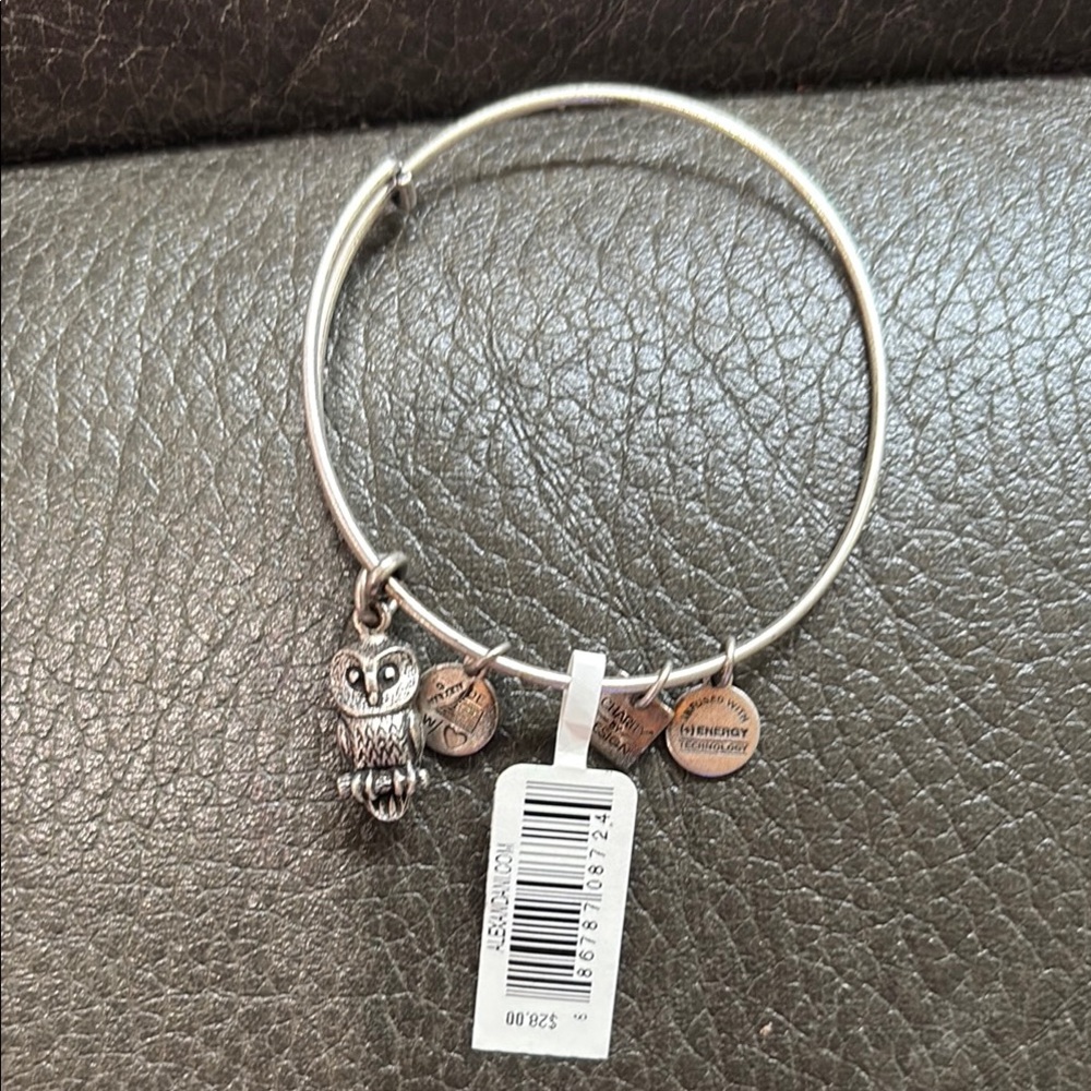 Alex and ani washed silver owl charm bracelet